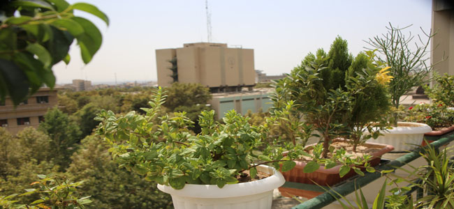 Second Responsive Image